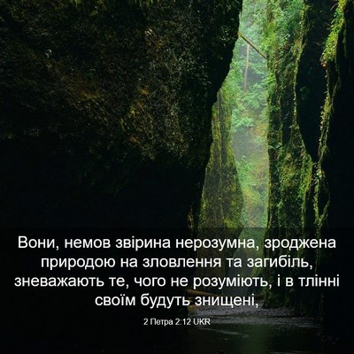 Picture 03 - 2 Петра 2:12 UKR - Вони, немов звірина - Bible Verse Picture