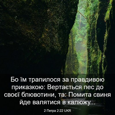 Picture 03 - 2 Петра 2:22 UKR - Бо їм трапилося за - Bible Verse Picture