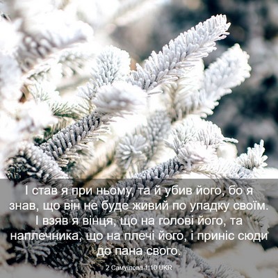 Picture 03 - 2 Самуїлова 1:10 UKR - І став я при ньому, та й - Bible Verse Picture