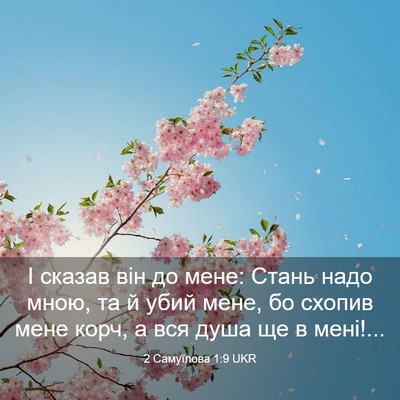 Picture 03 - 2 Самуїлова 1:9 UKR - І сказав він до мене: Стань - Bible Verse Picture