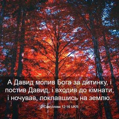 Picture 03 - 2 Самуїлова 12:16 UKR - А Давид молив Бога за - Bible Verse Picture
