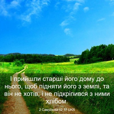 Picture 03 - 2 Самуїлова 12:17 UKR - І прийшли старші його дому - Bible Verse Picture