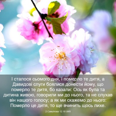 Picture 03 - 2 Самуїлова 12:18 UKR - І сталося сьомого дня, і - Bible Verse Picture