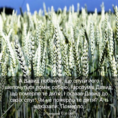 Picture 03 - 2 Самуїлова 12:19 UKR - А Давид побачив, що слуги - Bible Verse Picture