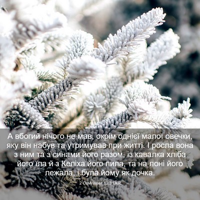 Picture 03 - 2 Самуїлова 12:3 UKR - А вбогий нічого не мав, - Bible Verse Picture
