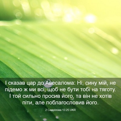 Picture 03 - 2 Самуїлова 13:25 UKR - І сказав цар до Авесалома: - Bible Verse Picture