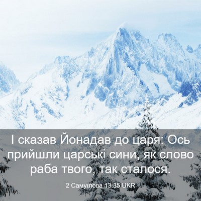 Picture 03 - 2 Самуїлова 13:35 UKR - І сказав Йонадав до царя: - Bible Verse Picture