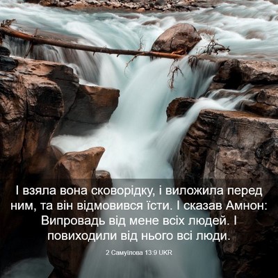 Picture 03 - 2 Самуїлова 13:9 UKR - І взяла вона сковорідку, і - Bible Verse Picture