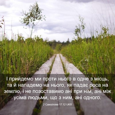 Picture 03 - 2 Самуїлова 17:12 UKR - І прийдемо ми проти нього в - Bible Verse Picture