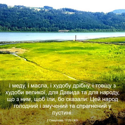 Picture 03 - 2 Самуїлова 17:29 UKR - і меду, і масла, і худобу - Bible Verse Picture