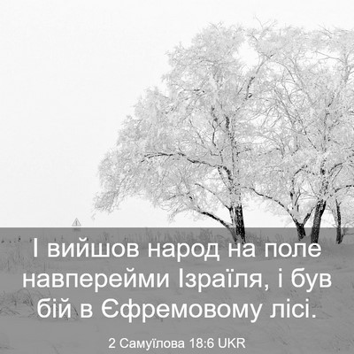 Picture 03 - 2 Самуїлова 18:6 UKR - І вийшов народ на поле - Bible Verse Picture