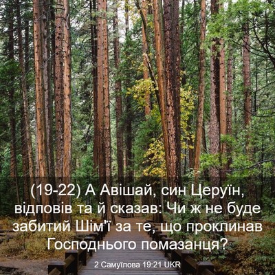 Picture 03 - 2 Самуїлова 19:21 UKR - (19-22) А Авішай, син Церуїн, - Bible Verse Picture