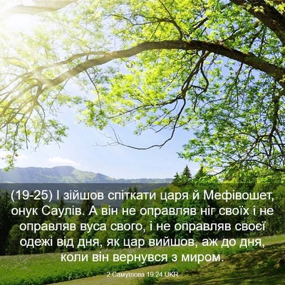 Picture 03 - 2 Самуїлова 19:24 UKR - (19-25) І зійшов спіткати царя - Bible Verse Picture