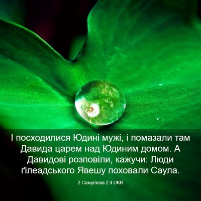 Picture 03 - 2 Самуїлова 2:4 UKR - І посходилися Юдині мужі, і - Bible Verse Picture