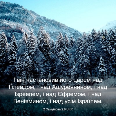Picture 03 - 2 Самуїлова 2:9 UKR - І він настановив його - Bible Verse Picture