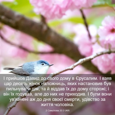 Picture 03 - 2 Самуїлова 20:3 UKR - І прийшов Давид до свого - Bible Verse Picture