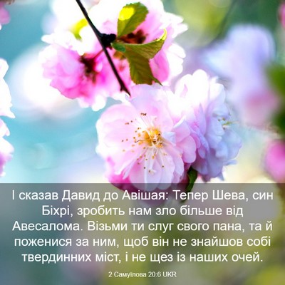 Picture 03 - 2 Самуїлова 20:6 UKR - І сказав Давид до Авішая: - Bible Verse Picture
