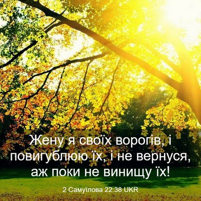 Picture 03 - 2 Самуїлова 22:38 UKR - Жену я своїх ворогів, і - Bible Verse Picture