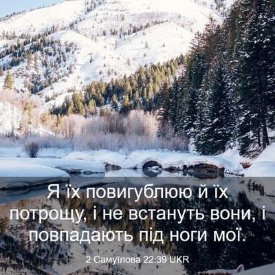 Picture 03 - 2 Самуїлова 22:39 UKR - Я їх повигублюю й їх - Bible Verse Picture
