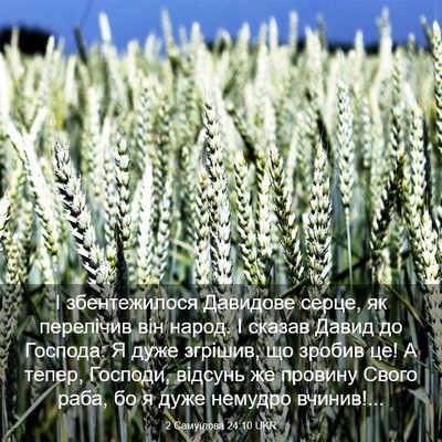 Picture 03 - 2 Самуїлова 24:10 UKR - І збентежилося Давидове - Bible Verse Picture