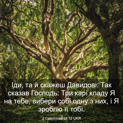 Picture 03 - 2 Самуїлова 24:12 UKR - Іди, та й скажеш Давидові: - Bible Verse Picture
