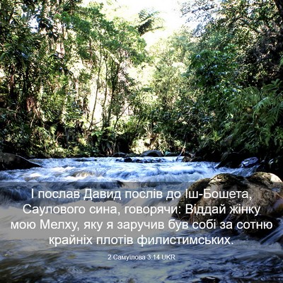 Picture 03 - 2 Самуїлова 3:14 UKR - І послав Давид послів до - Bible Verse Picture
