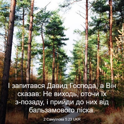 Picture 03 - 2 Самуїлова 5:23 UKR - І запитався Давид Господа, - Bible Verse Picture