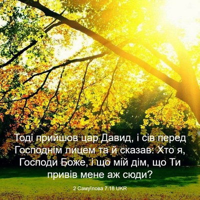 Picture 03 - 2 Самуїлова 7:18 UKR - Тоді прийшов цар Давид, і - Bible Verse Picture