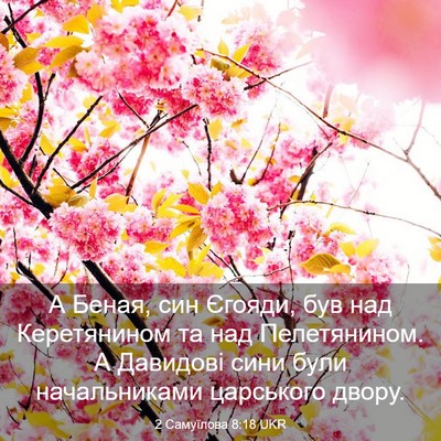 Picture 03 - 2 Самуїлова 8:18 UKR - А Беная, син Єгояди, був над - Bible Verse Picture