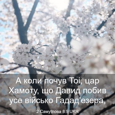 Picture 03 - 2 Самуїлова 8:9 UKR - А коли почув Тоі, цар - Bible Verse Picture