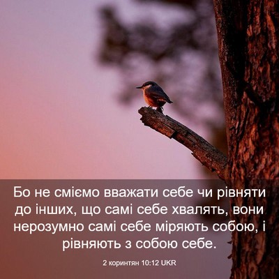 Picture 03 - 2 коринтян 10:12 UKR - Бо не сміємо вважати себе - Bible Verse Picture