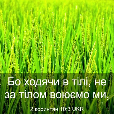 Picture 03 - 2 коринтян 10:3 UKR - Бо ходячи в тілі, не за - Bible Verse Picture