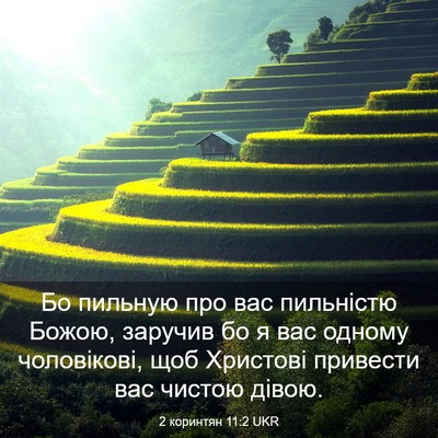 Picture 03 - 2 коринтян 11:2 UKR - Бо пильную про вас - Bible Verse Picture