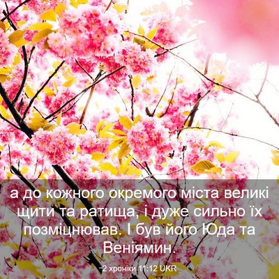 Picture 03 - 2 хроніки 11:12 UKR - а до кожного окремого - Bible Verse Picture