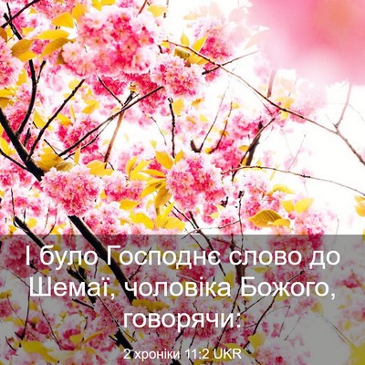 Picture 03 - 2 хроніки 11:2 UKR - І було Господнє слово до - Bible Verse Picture