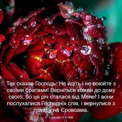 Picture 03 - 2 хроніки 11:4 UKR - Так сказав Господь: Не - Bible Verse Picture