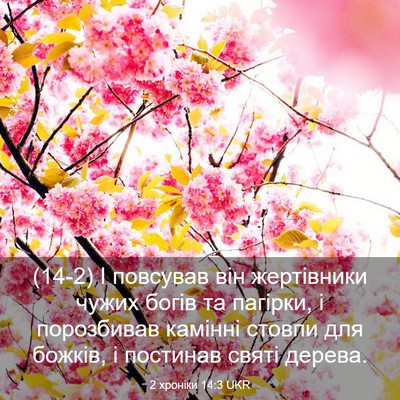 Picture 03 - 2 хроніки 14:3 UKR - (14-2) І повсував він - Bible Verse Picture