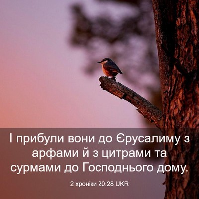 Picture 03 - 2 хроніки 20:28 UKR - І прибули вони до - Bible Verse Picture