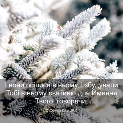 Picture 03 - 2 хроніки 20:8 UKR - І вони осілися в ньому, і - Bible Verse Picture