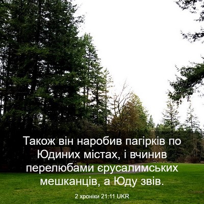 Picture 03 - 2 хроніки 21:11 UKR - Також він наробив пагірків - Bible Verse Picture