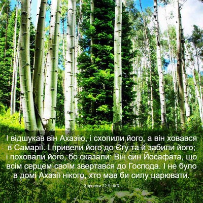 Picture 03 - 2 хроніки 22:9 UKR - І відшукав він Ахазію, і - Bible Verse Picture