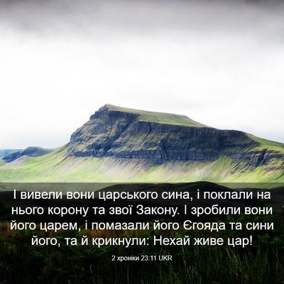 Picture 03 - 2 хроніки 23:11 UKR - І вивели вони царського - Bible Verse Picture