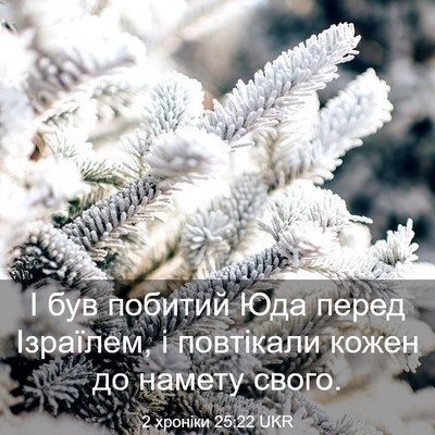 Picture 03 - 2 хроніки 25:22 UKR - І був побитий Юда перед - Bible Verse Picture
