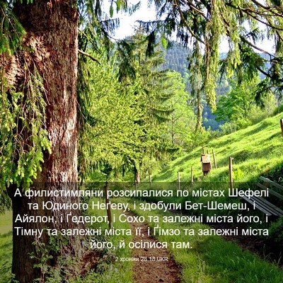 Picture 03 - 2 хроніки 28:18 UKR - А филистимляни - Bible Verse Picture
