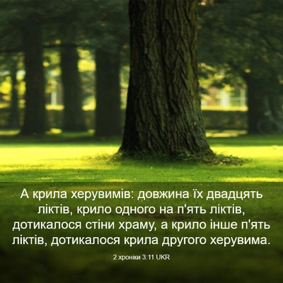 Picture 03 - 2 хроніки 3:11 UKR - А крила херувимів: довжина - Bible Verse Picture