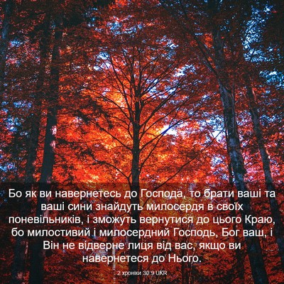 Picture 03 - 2 хроніки 30:9 UKR - Бо як ви навернетесь до - Bible Verse Picture