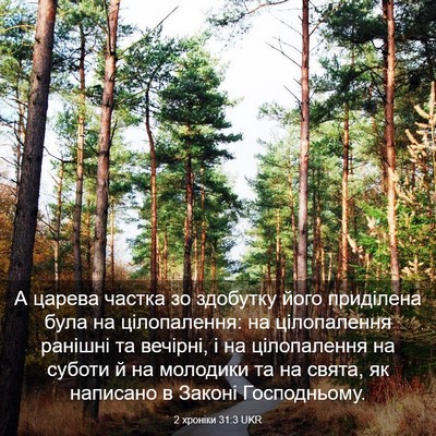 Picture 03 - 2 хроніки 31:3 UKR - А царева частка зо - Bible Verse Picture