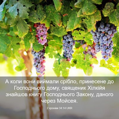 Picture 03 - 2 хроніки 34:14 UKR - А коли вони виймали срібло, - Bible Verse Picture