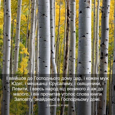 Picture 03 - 2 хроніки 34:30 UKR - І ввійшов до Господнього - Bible Verse Picture