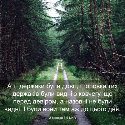 Picture 03 - 2 хроніки 5:9 UKR - А ті держаки були довгі, і - Bible Verse Picture